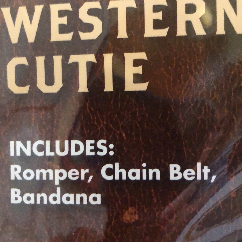 Westerncowgirl romper costume. Includes short romper, a chain belt andbandanna. - Picture 2 of 12